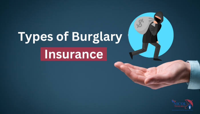 types of burglary insurance